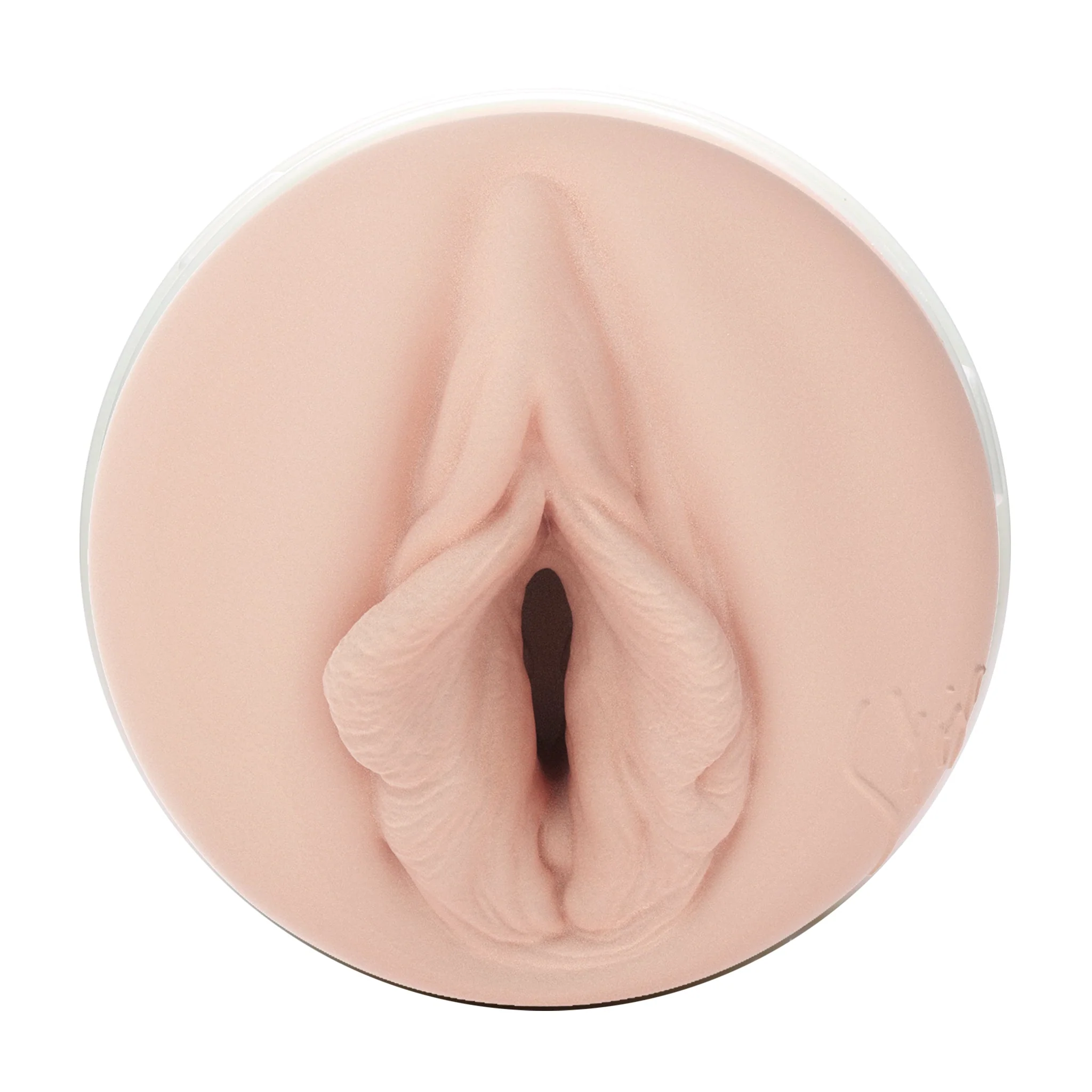 Stoya Fleshlight - Image 2